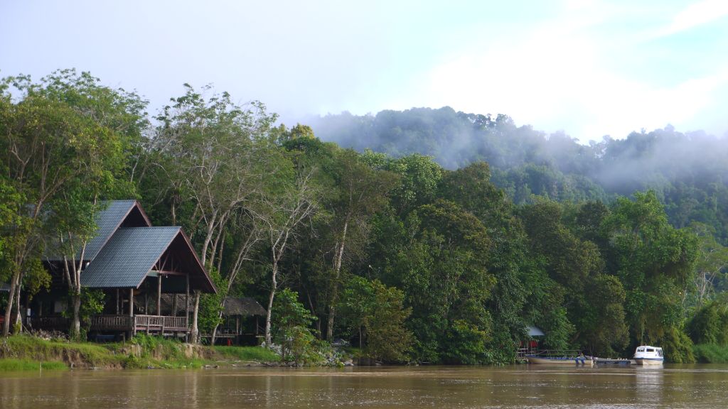 Borneo, 7 tipů co vidět