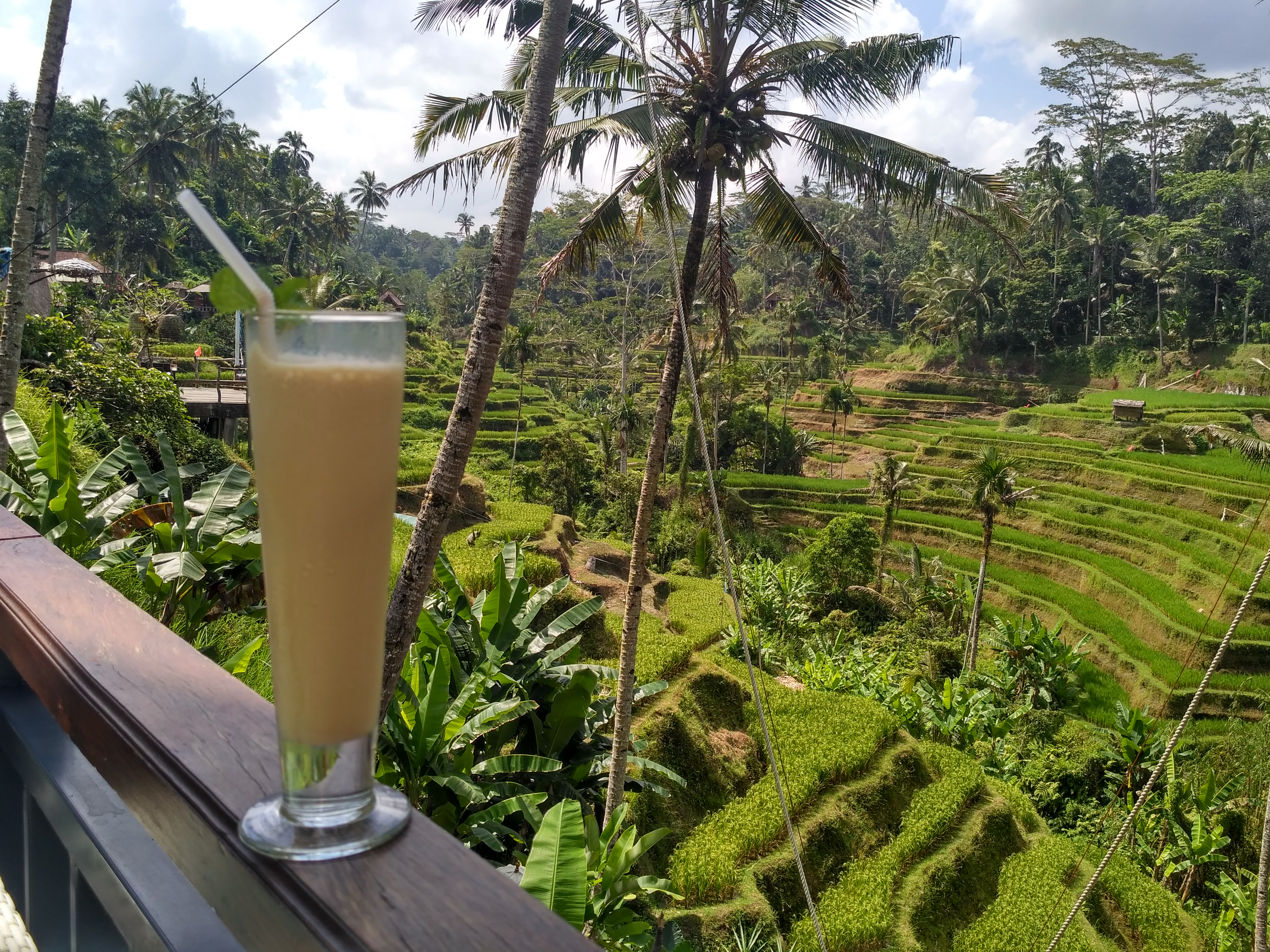 Jak si na Bali užít rýžové terasy bez turistů